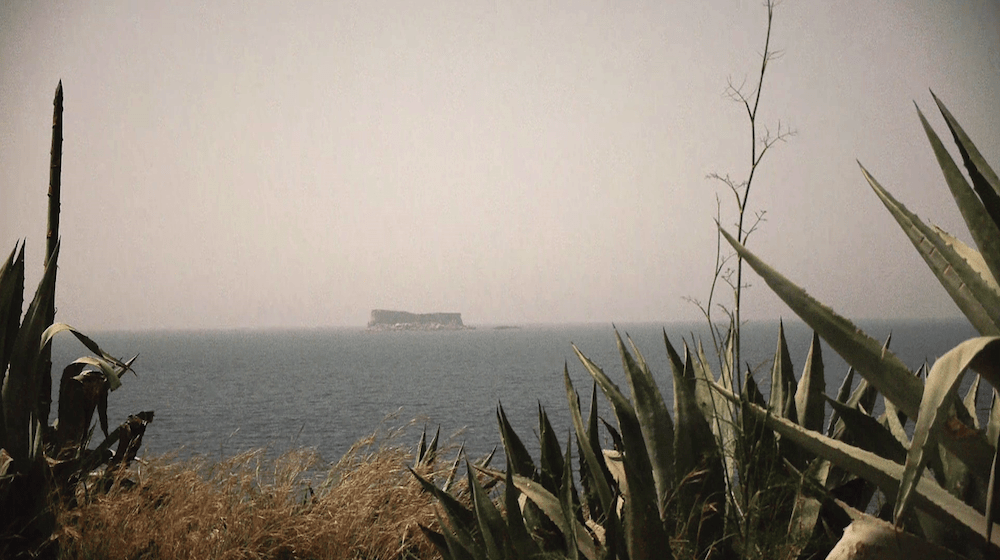 filfla_filtered small