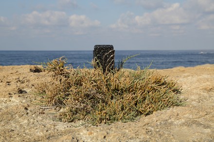 19_Y95A6583_A_fragmenta_web