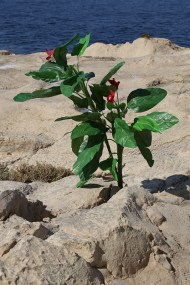 20_Y95A6274_fragmenta_web