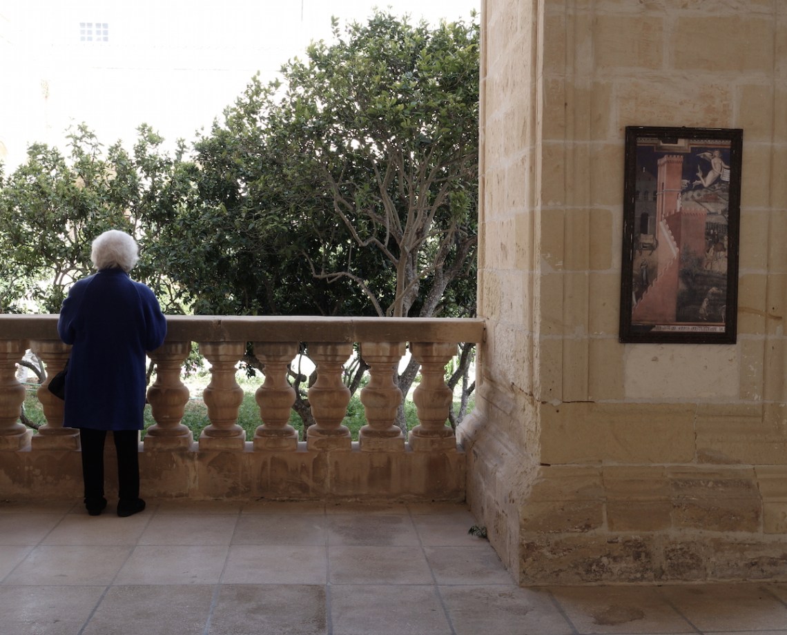 45_2016_Fragmenta_HortusConclusus_picBettinaHutschek