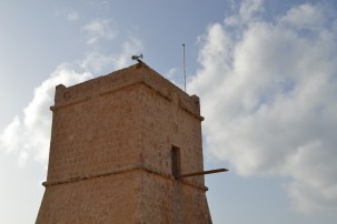 2016_10_fragmenta_mementomori_aaron_picaaron12