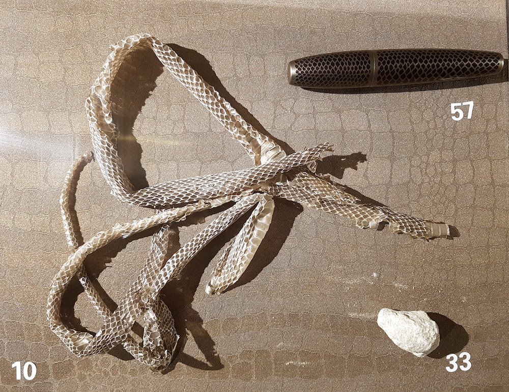 SnakeShow_Fragmenta-Malta_PicBettinaHutschek_08