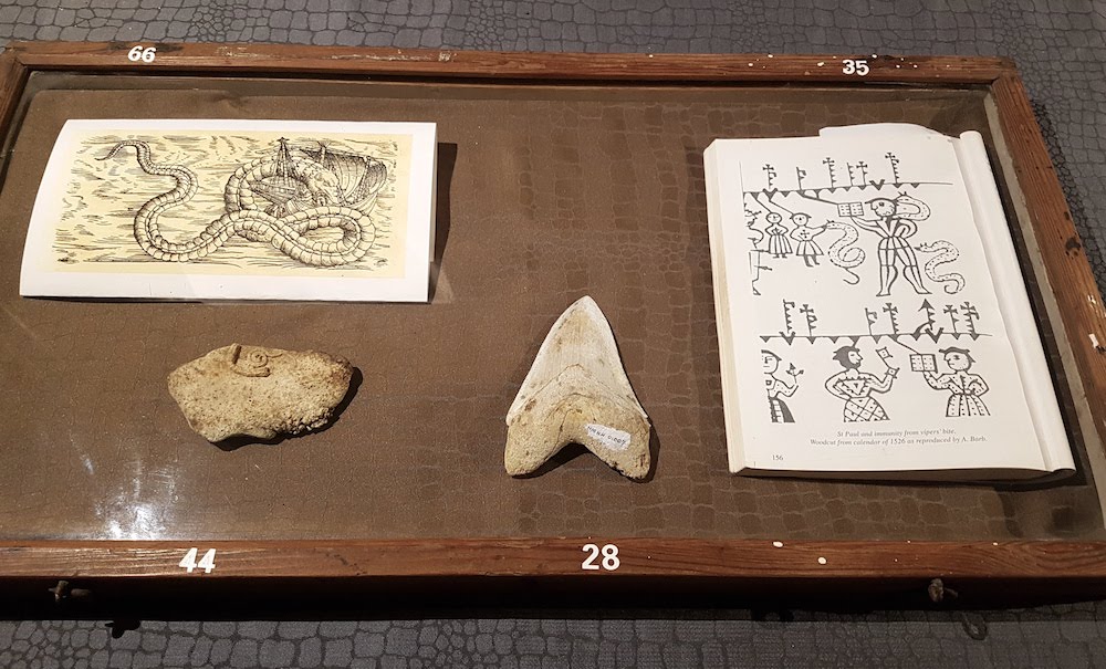 SnakeShow_Fragmenta-Malta_PicBettinaHutschek_09