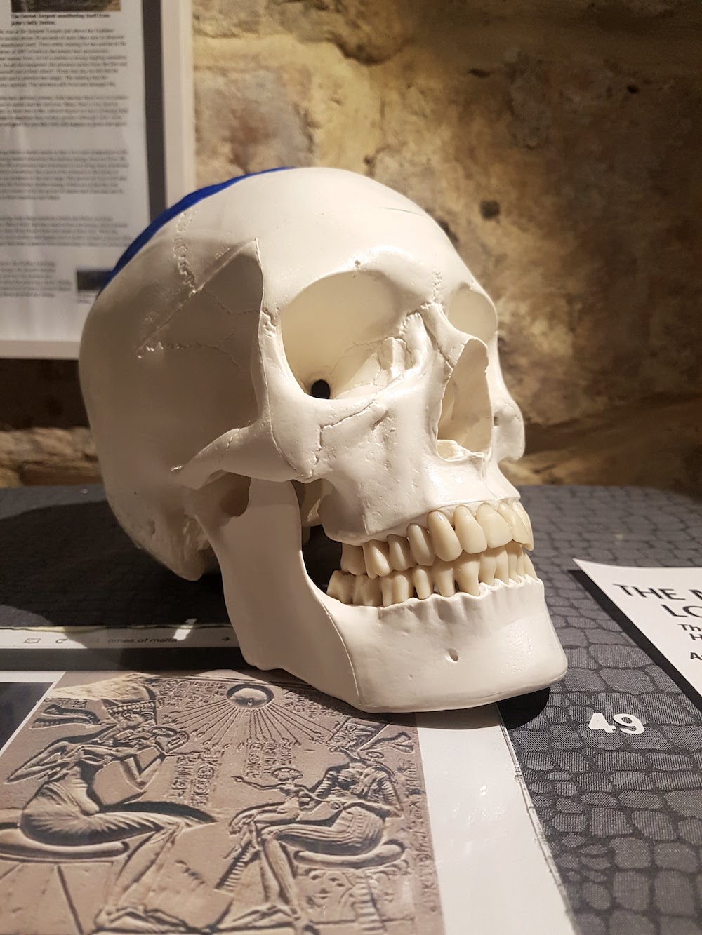 SnakeShow_Fragmenta-Malta_PicBettinaHutschek_103