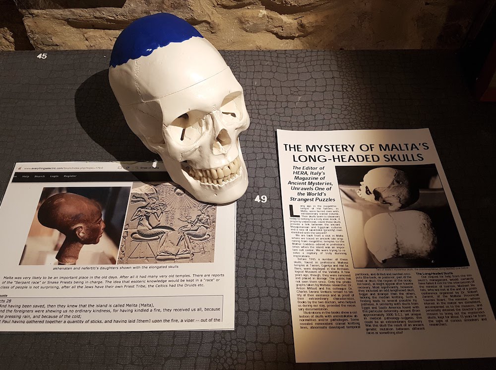 SnakeShow_Fragmenta-Malta_PicBettinaHutschek_11