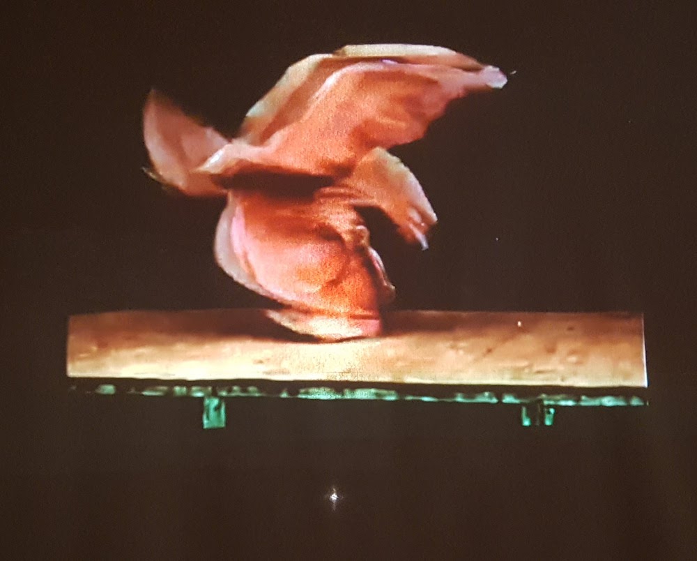 SnakeShow_Fragmenta-Malta_PicBettinaHutschek_12