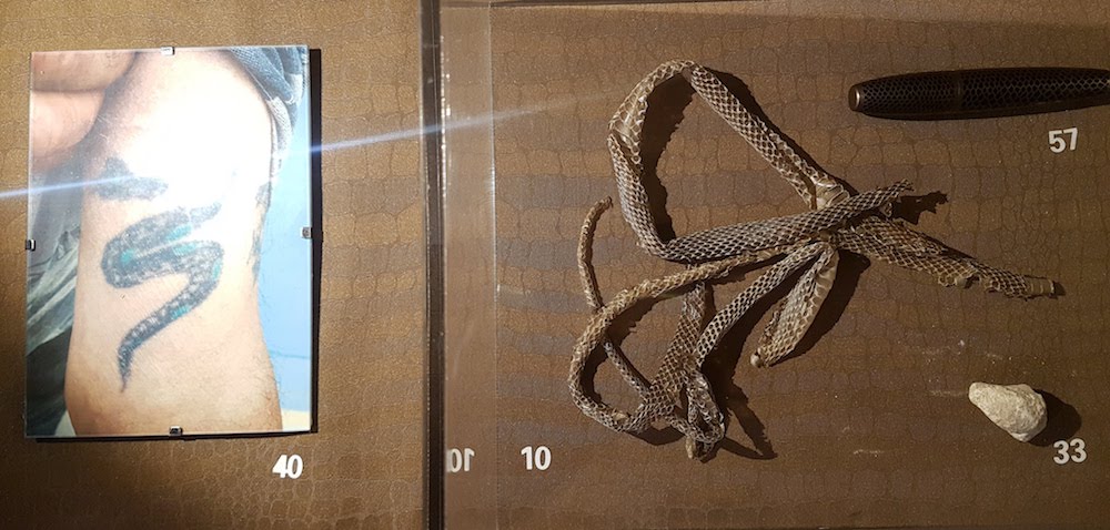 SnakeShow_Fragmenta-Malta_PicBettinaHutschek_29