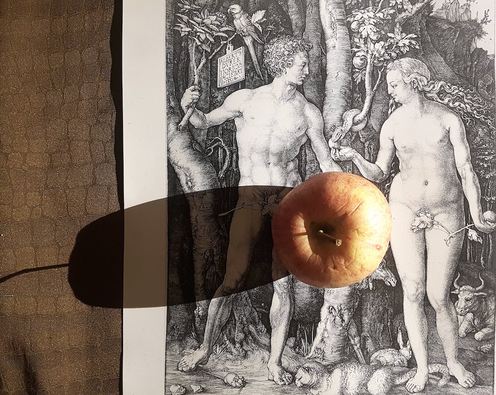 SnakeShow_Fragmenta-Malta_PicBettinaHutschek_39