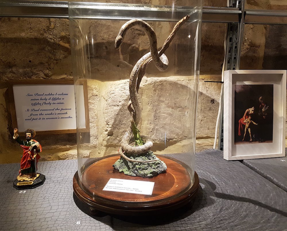SnakeShow_Fragmenta-Malta_PicBettinaHutschek_47