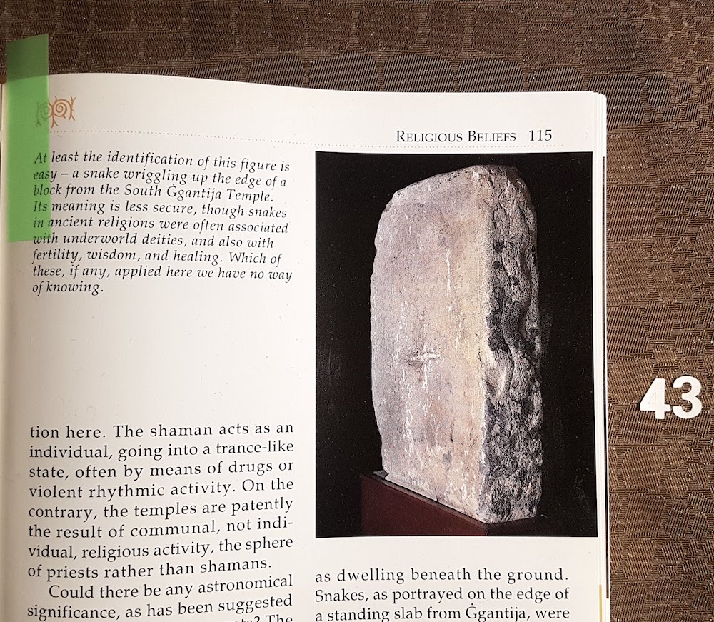 SnakeShow_Fragmenta-Malta_PicBettinaHutschek_51