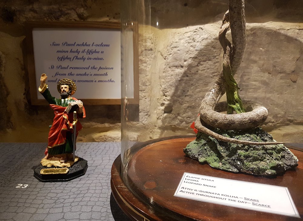 SnakeShow_Fragmenta-Malta_PicBettinaHutschek_94