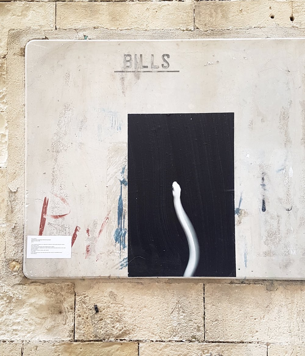 SnakeShow_Fragmenta-Malta_PicBettinaHutschek_98